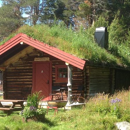 Batsto Camping Elga Exterior foto