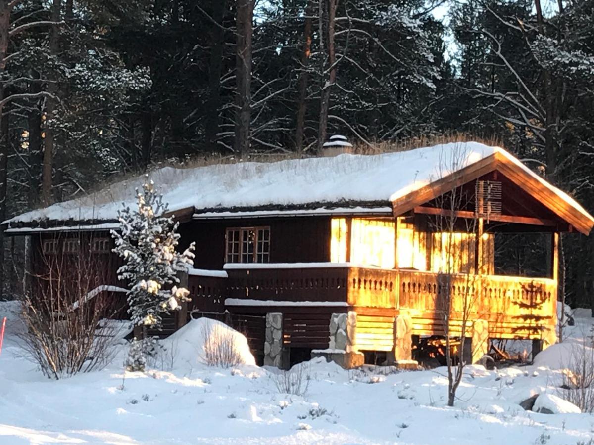 Batsto Camping Elga Exterior foto