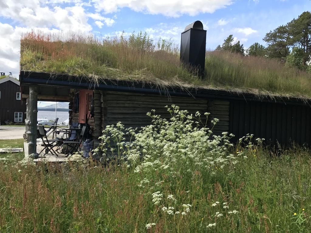 Batsto Camping Elga Exterior foto